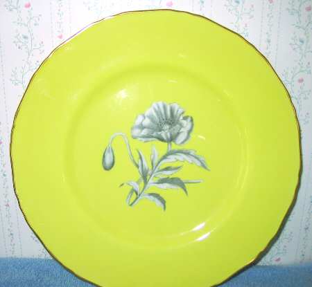 Z2187-1 Service Plate (Charger)