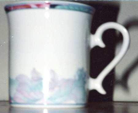 Gardenia Mug