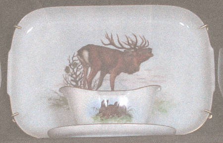 679 14" Rectangular Serving Platter