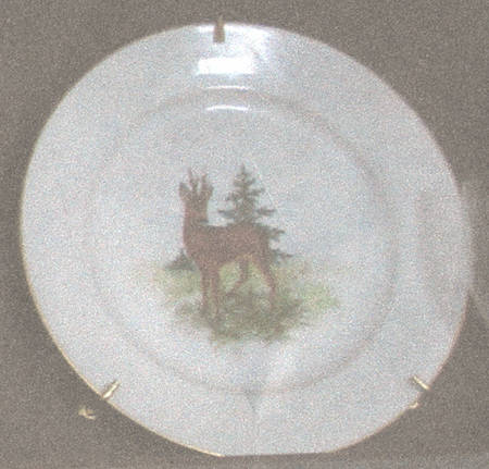 679 Dinner Plate