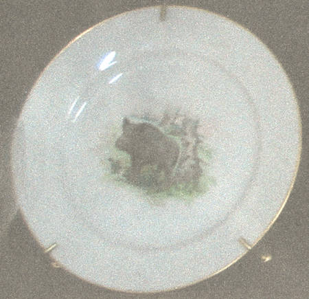 679 Dinner Plate