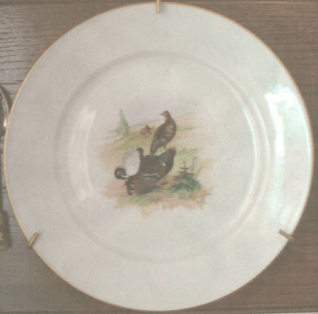 679 Dinner Plate
