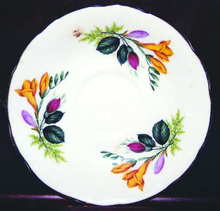 RKD1 Saucer
