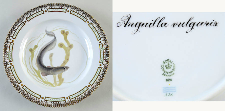 Flora Danica Fish Service Fish Dinner Plate-Anguilla vulgaris