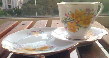 RSD44 Snack Plate & Cup Set