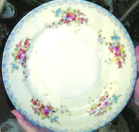 REG24 Dinner Plate