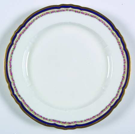 4859 Dinner Plate