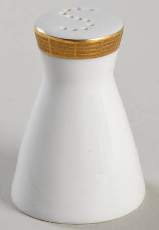 R1611 Salt Shaker