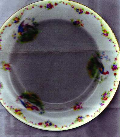 X455 by Royal Doulton