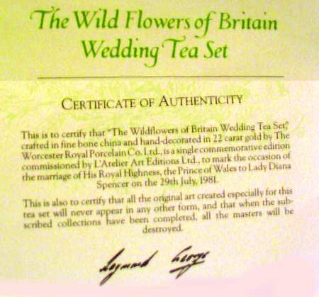 Wild Flowers of Britain Teapot & Lid
