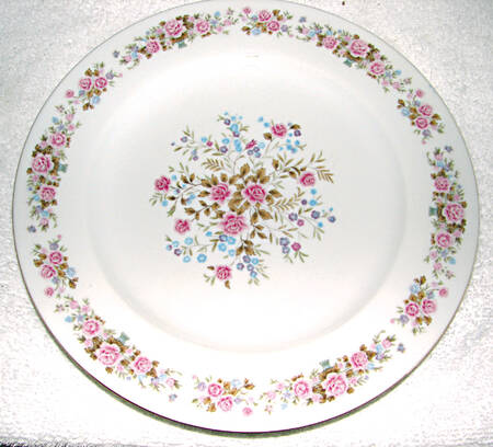 RSA1 (Smooth) Dinner Plate