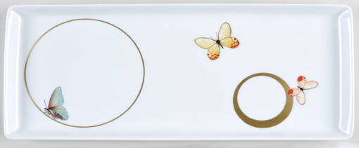 Metamorphoses 14" Rectangular Tray