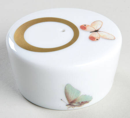 Metamorphoses Salt Shaker