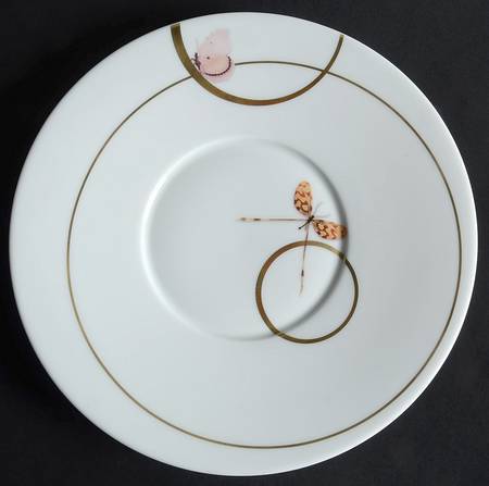 Metamorphoses Saucer