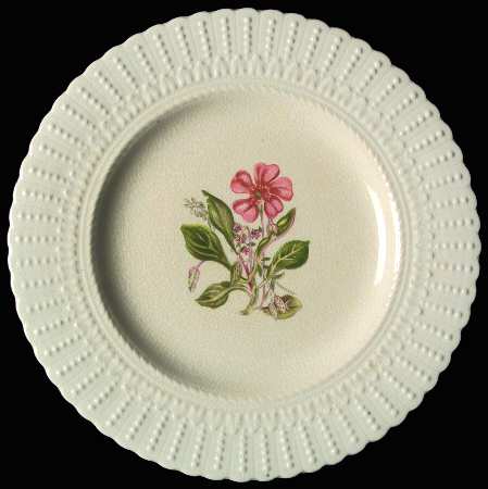 Woodstock Luncheon Plate