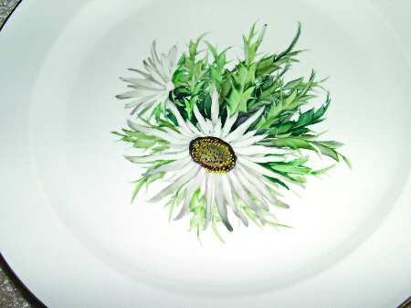 R1697 by Rosenthal - Continental