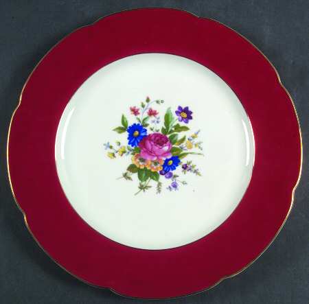 ROB373 Dinner Plate