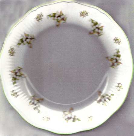 RDO9 Salad Plate
