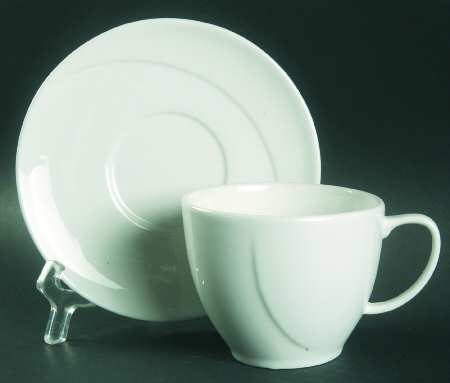 Spa Lifestyle Reflection White Flat Cup & Saucer Set
