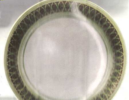 Granada Dinner Plate