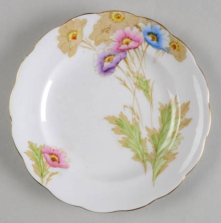 Somerset by Royal Standard