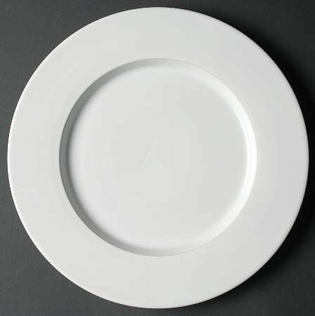 Terence Conran Albion by Royal Doulton