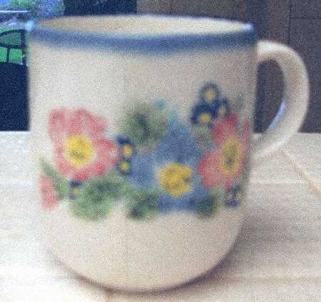Highland Moor Mug