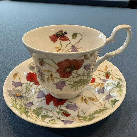 English Meadow Footed Cup & Saucer Set