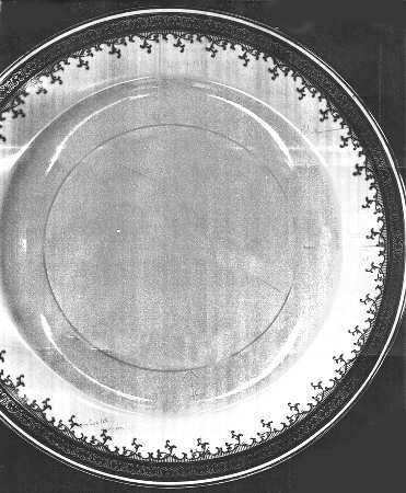 RNS23 Dinner Plate