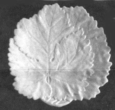 3566 (Leaf Shape) Salad Plate