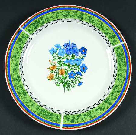 RNF27 Dinner Plate