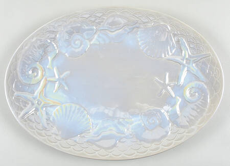 Nautilus 18" Oval Serving Platter