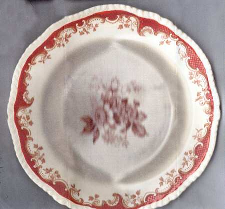 5-360 Dinner Plate