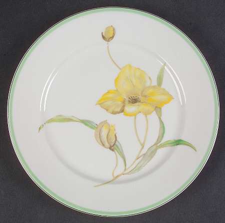 R1990 by Rosenthal - Continental