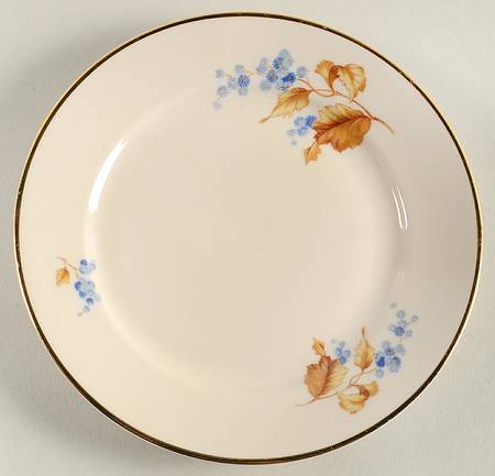 2009 Bread & Butter Plate by Rosenthal - Continental
