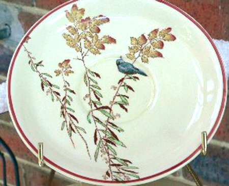 D5309 Saucer