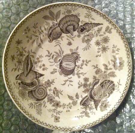 Shell by Ridgway (Ridgways)