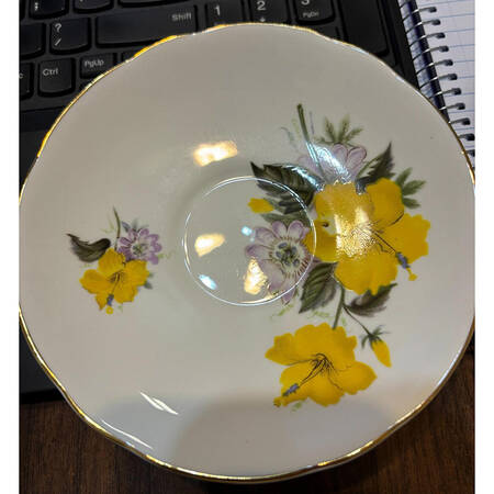 RE42 Saucer