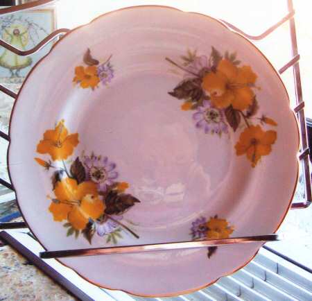 RE42 Dinner Plate