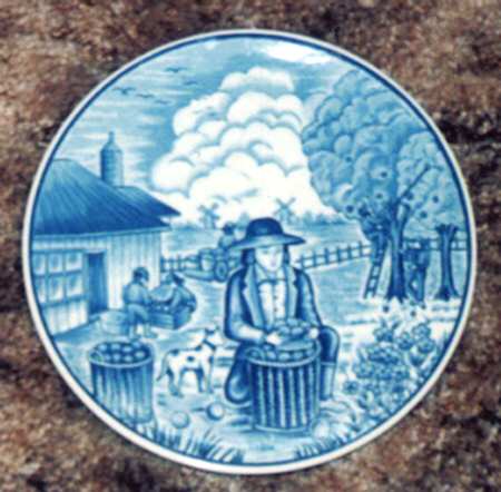 RDE3 Dinner Plate
