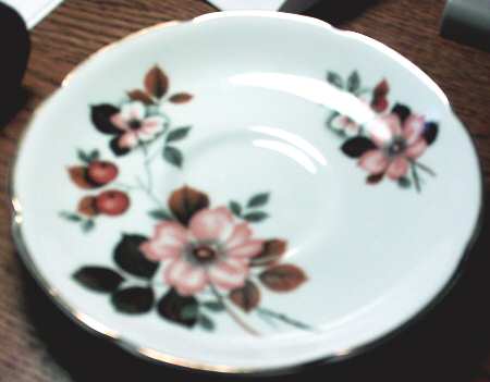 RGR106 Saucer