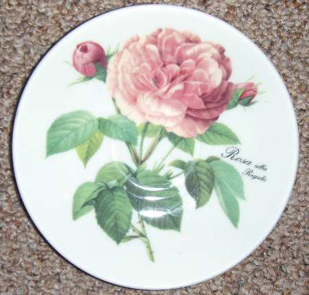 Rose Collection, The Saucer