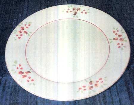 R1X7 Dinner Plate