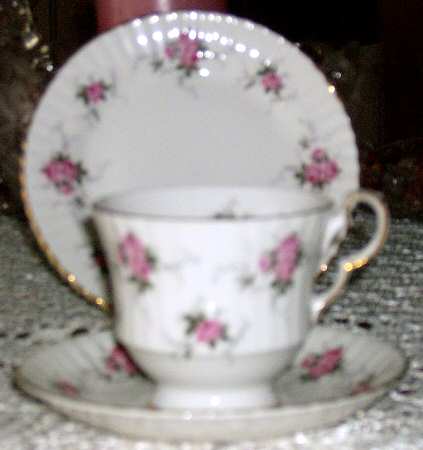 Cottage Rose Footed Cup & Saucer Set