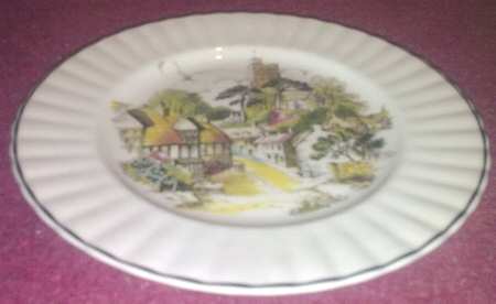 RWD1 Dinner Plate