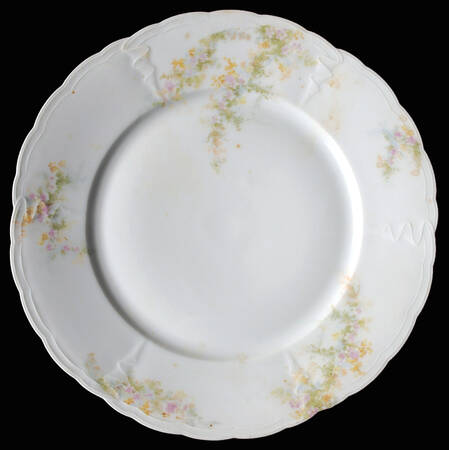 662-465 by Rosenthal - Continental