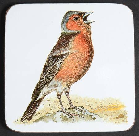 Garden Birds Square Corkback Coaster