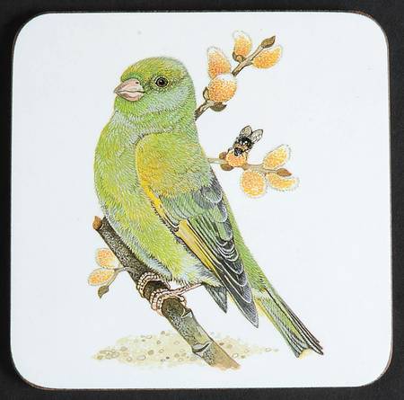 Garden Birds Square Corkback Coaster
