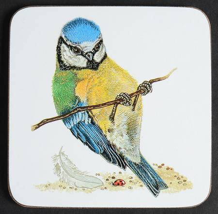 Garden Birds Square Corkback Coaster