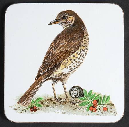 Garden Birds Square Corkback Coaster
